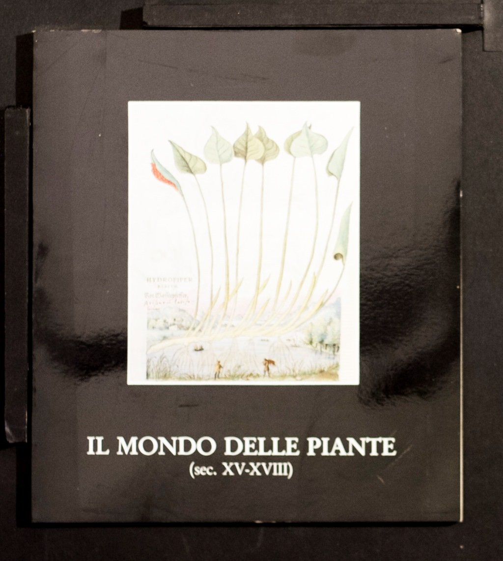Il mondo delle piante (sec XV-XVIII)