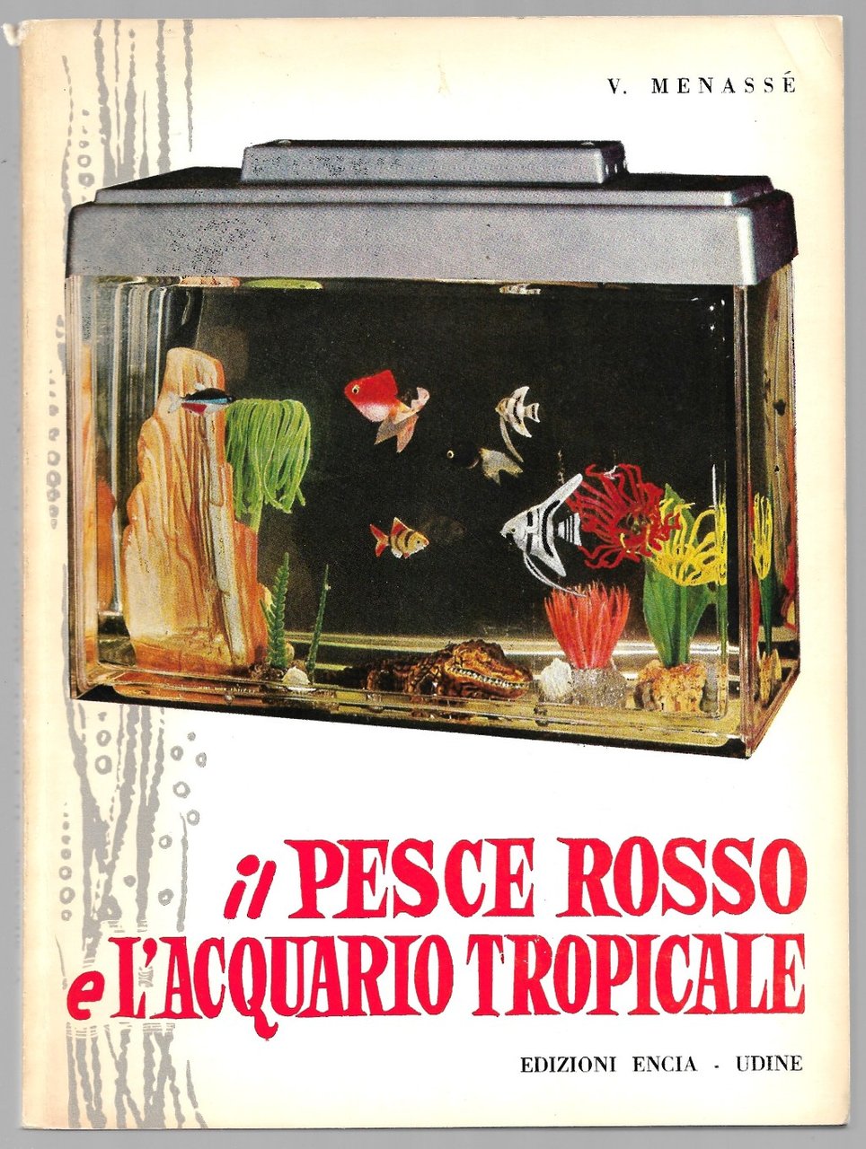 Il pesce rosso e l'acquario tropicale