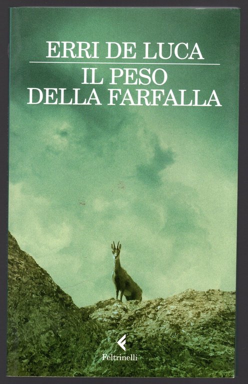 Il peso della farfalla