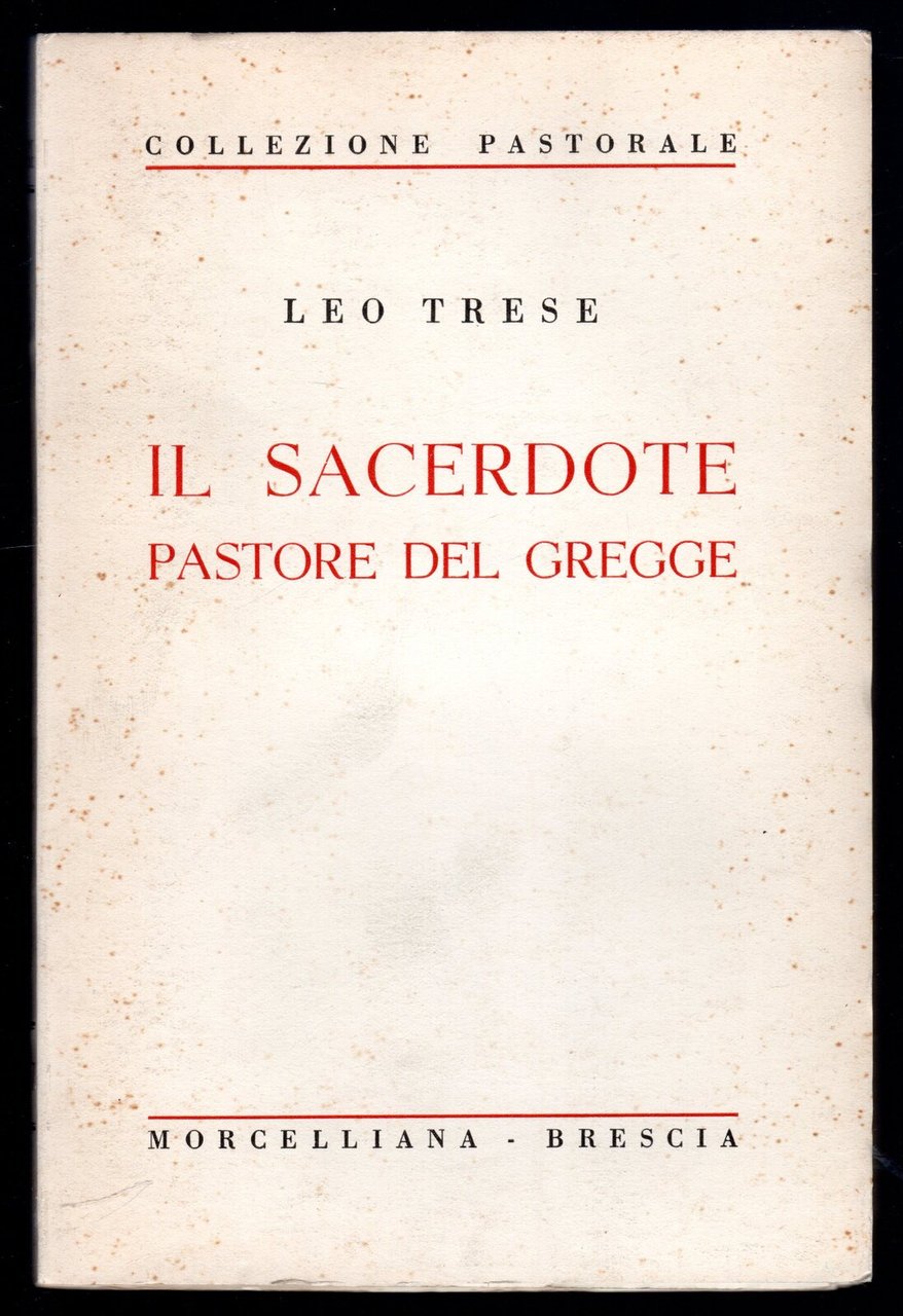 Il sacerdote pastore del gregge