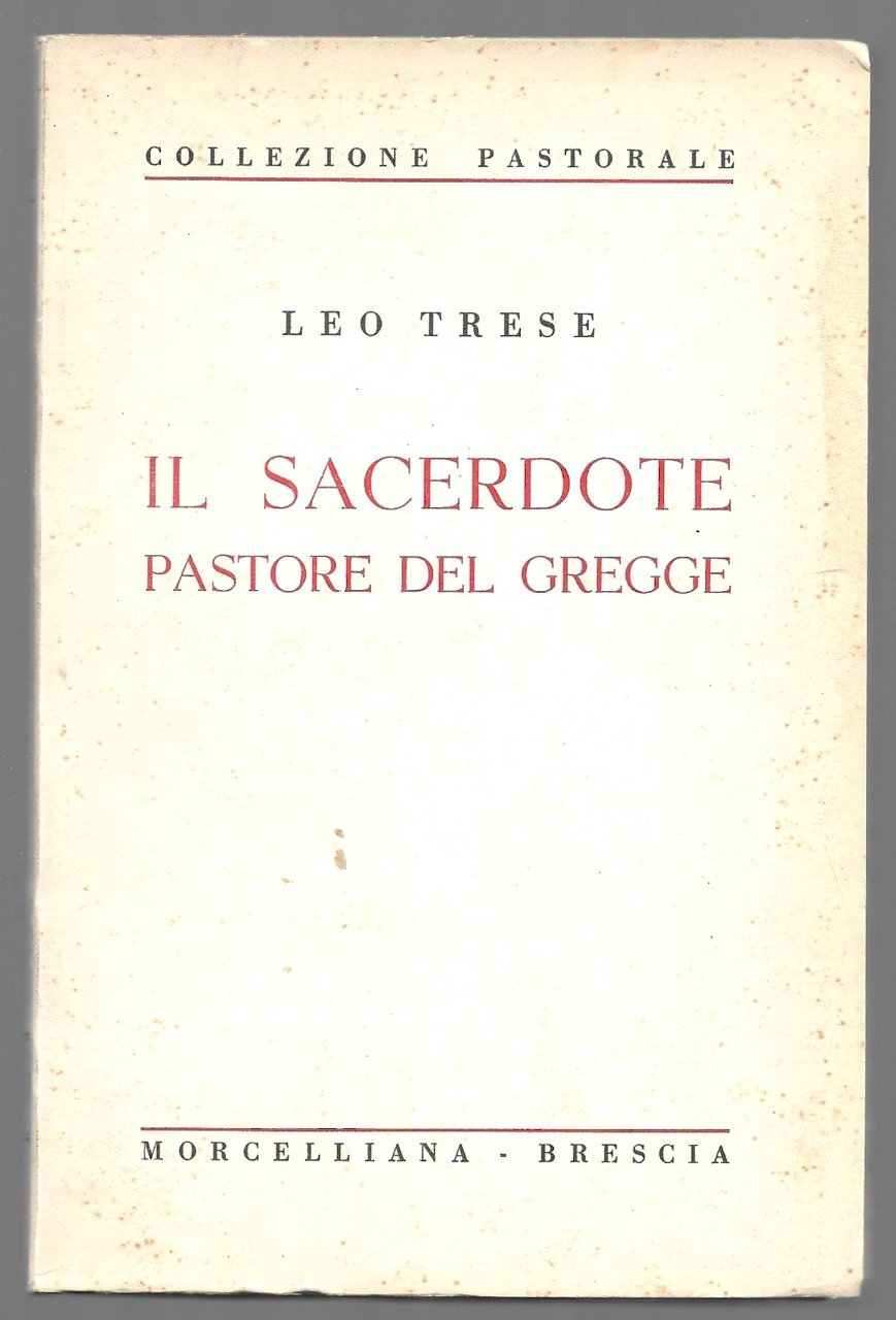 Il sacerdote pastore del gregge