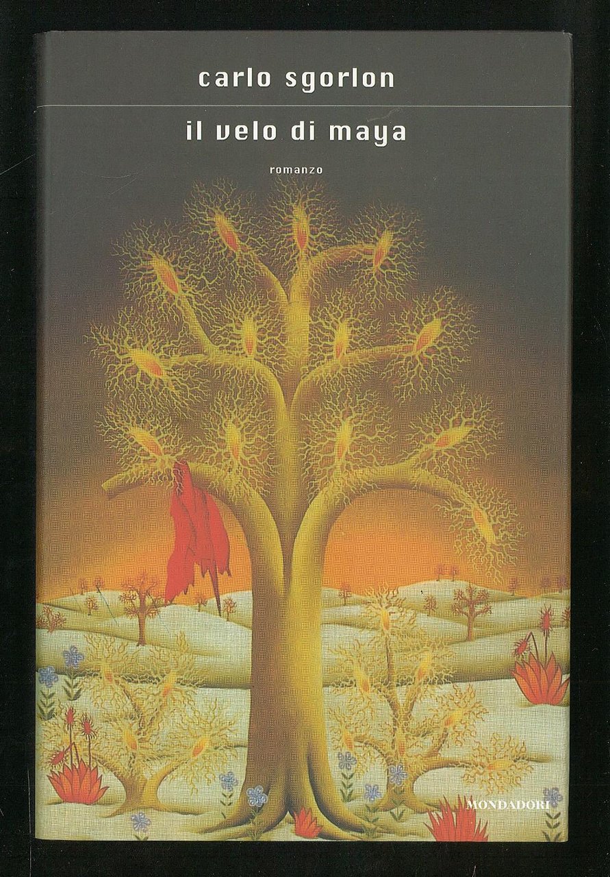 Il velo di Maya