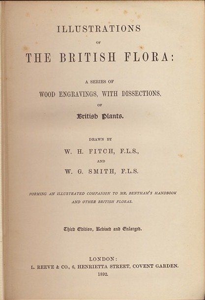 Illustrations of The British Flora: a series of Wood Engravings, …