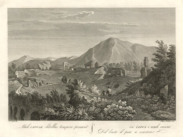 .in Capua i muli vanno Del basto il peso a …