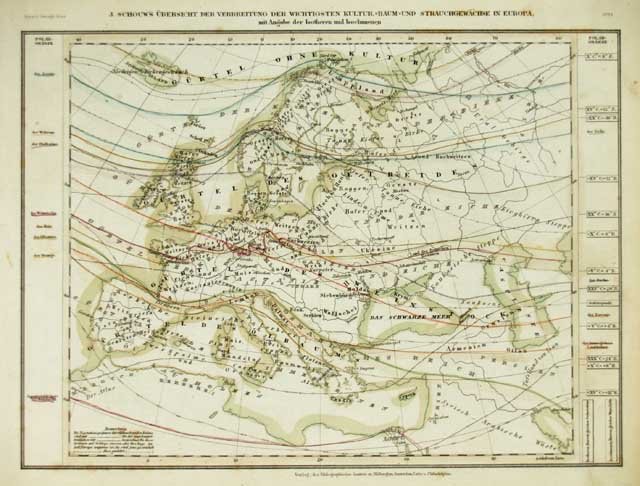 J.Schouws ubersicht der verbreitung . | Immagine principale
