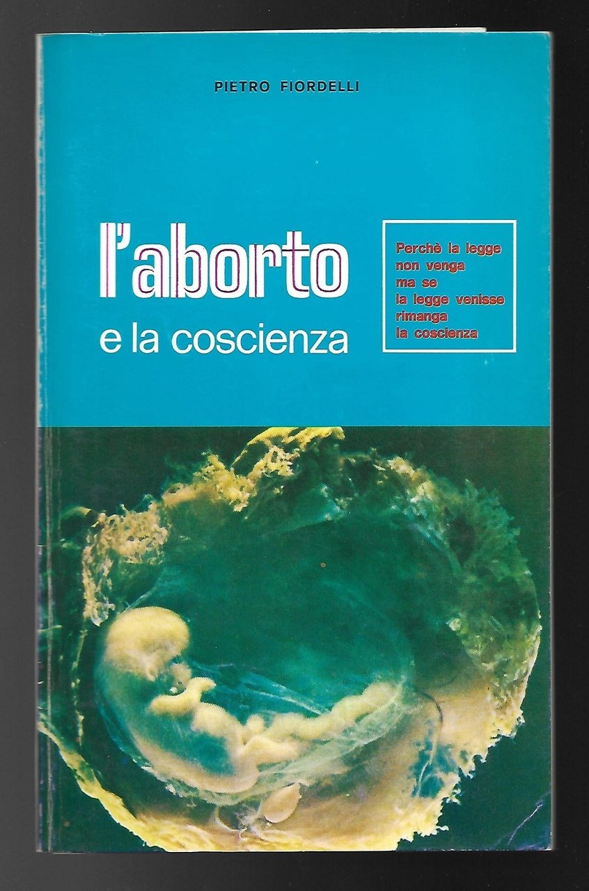 L'aborto e la coscienza. Perchè non venga la legge ma … | Immagine principale