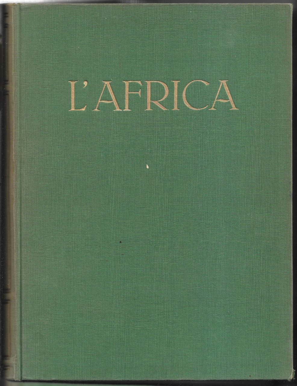 L'Africa