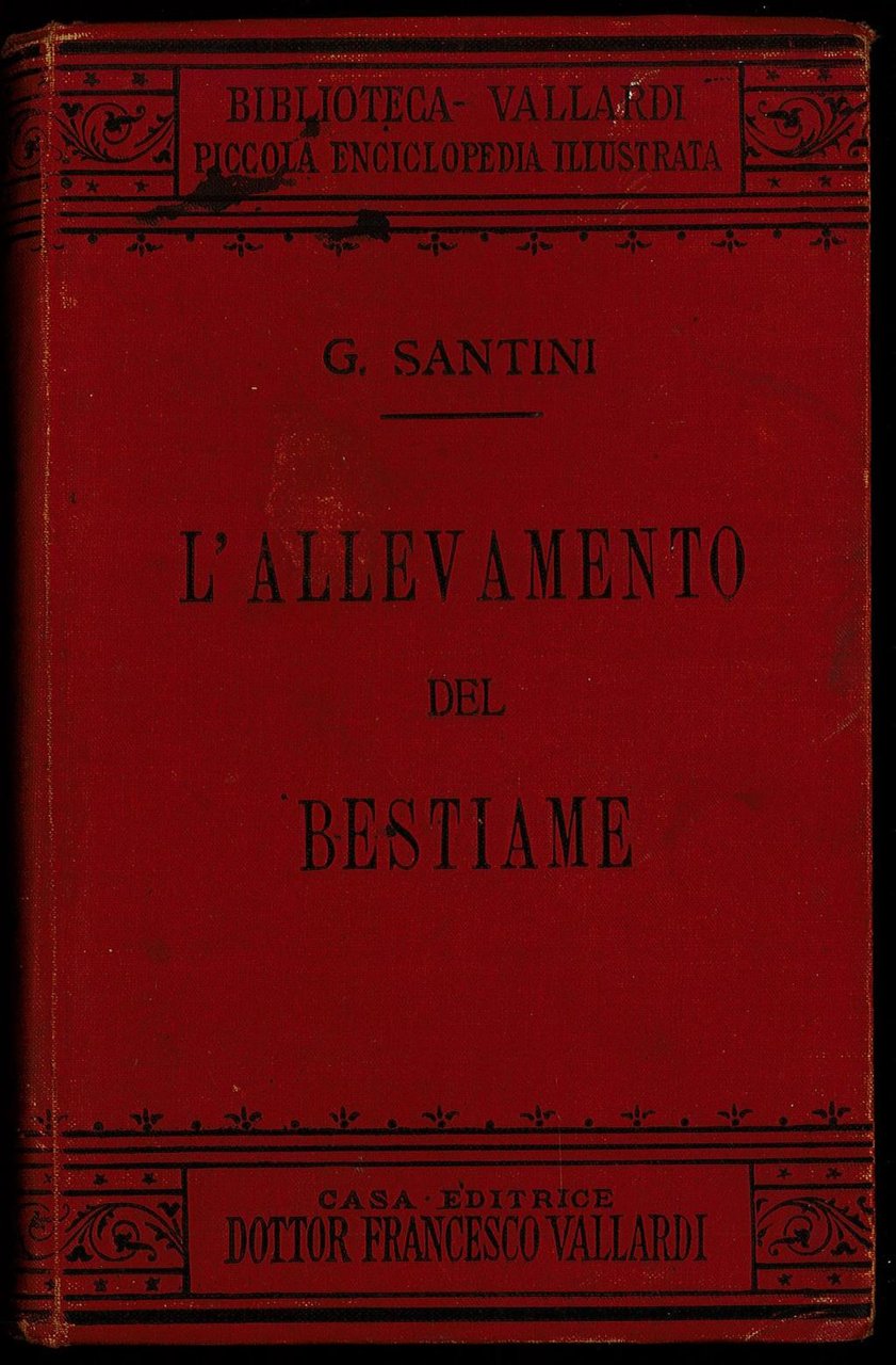 L'allevamento del bestiame