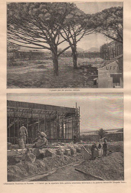 L'Esposizione Nazionale di Palermo - I grandi pini del giardino …