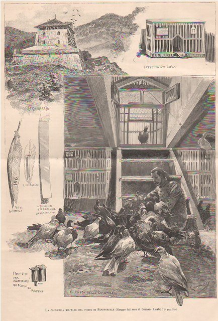 La colombaia militare del forte di Fenestrelle