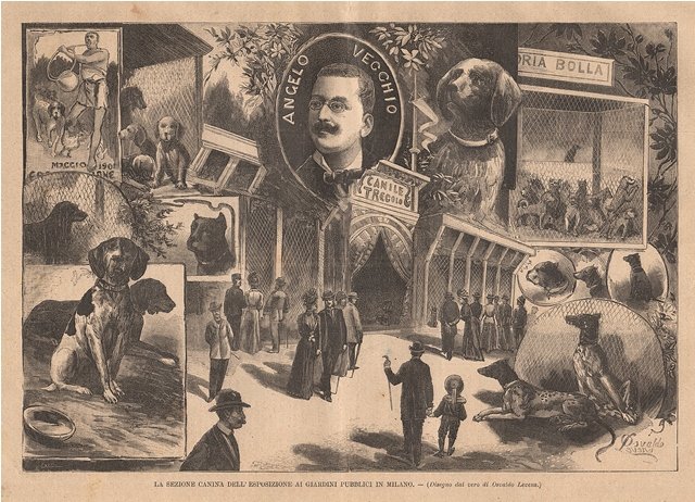 La sezione canina dell'esposizione ai giardini pubblici in Milano