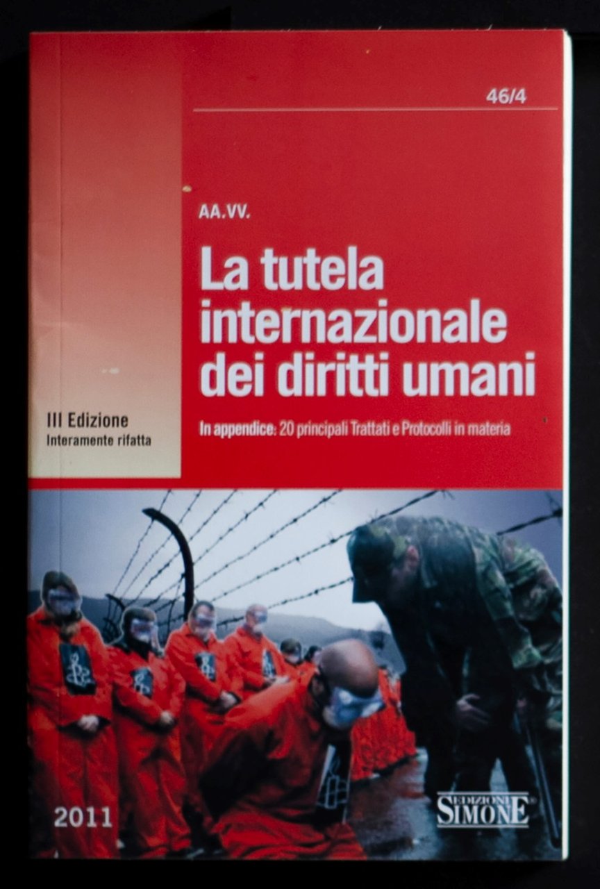 La tutela internazionale dei diritti umani