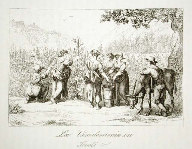 La Vendemmia in / Tivoli