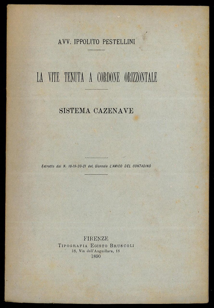 La vite tenuta a cordone orizzontale - Sistema Cazenave