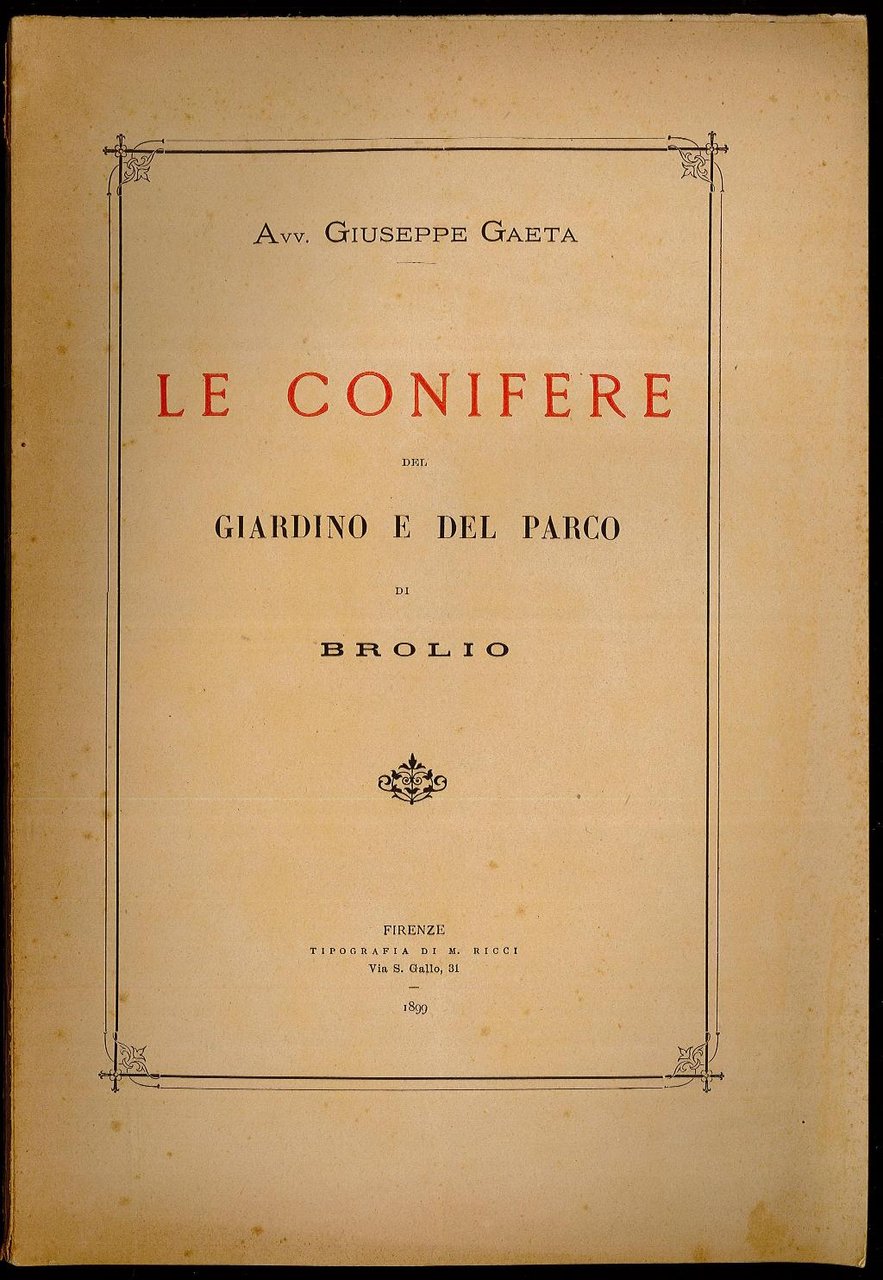 Le conifere del giardino e del parco di Broglio