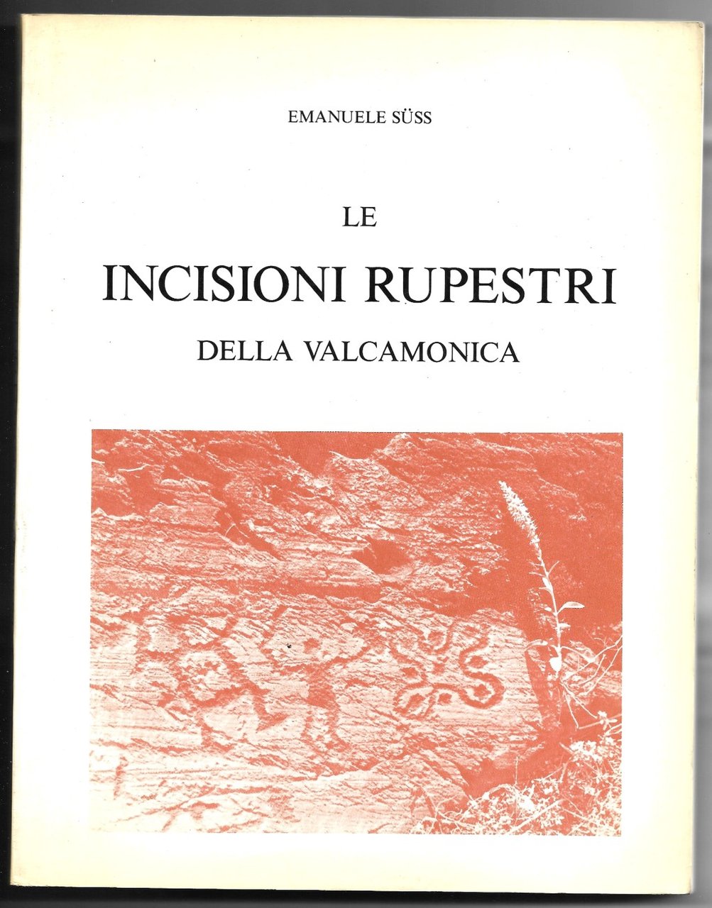 Le incisioni rupestri della Valcamonica