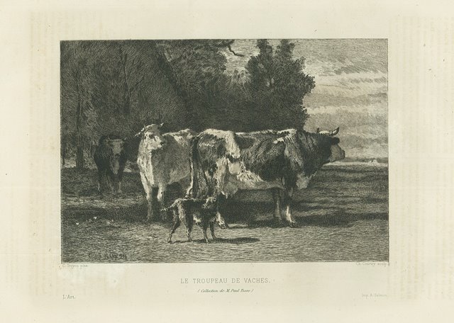 Le troupeau de vaches