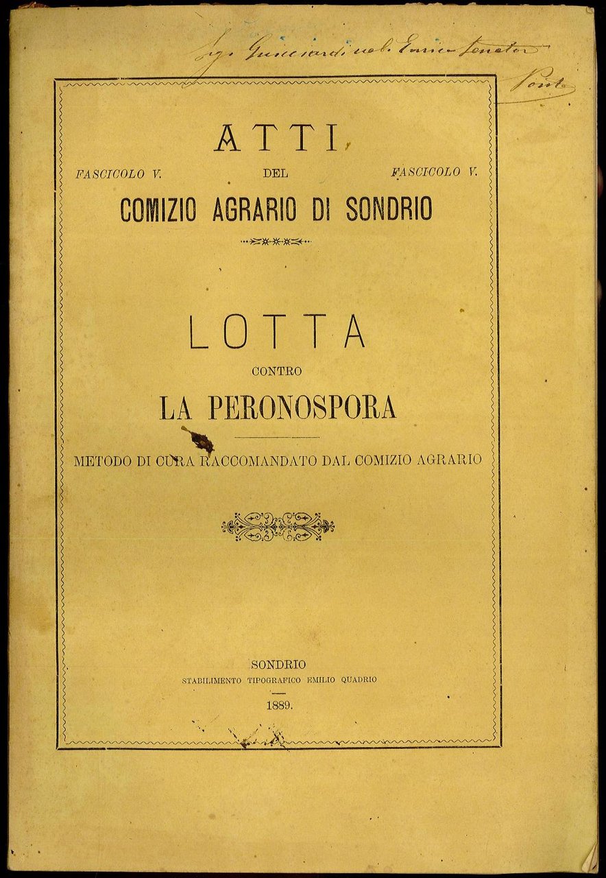 Lotta contro la peronospora - Metodo di cura raccomandato dal …