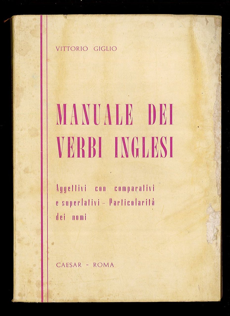 Manuale dei verbi inglesi