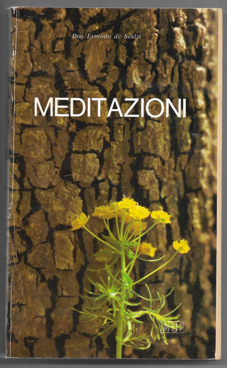 Meditazioni per preadolescenti e adolescenti | Immagine principale