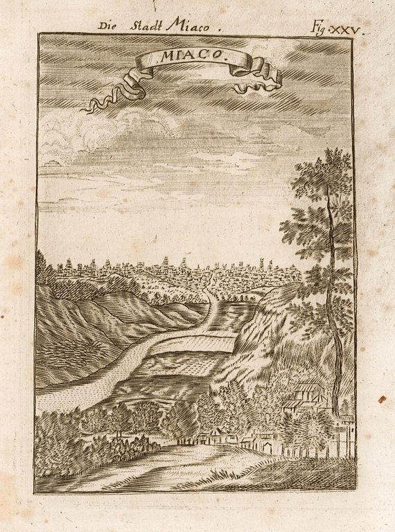 Miaco | Immagine Gallery 2