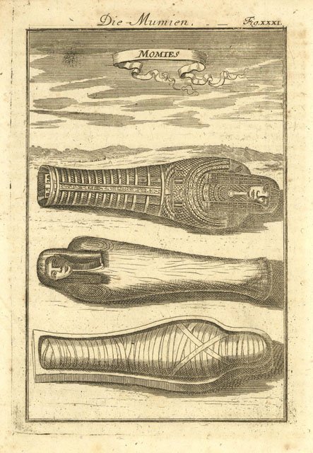 Momies