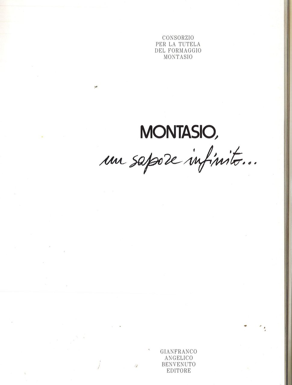 Montasio, un sapore infinito | Immagine principale