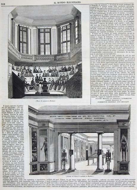 Museo di anatomia di Modena - Interno del Museo di …
