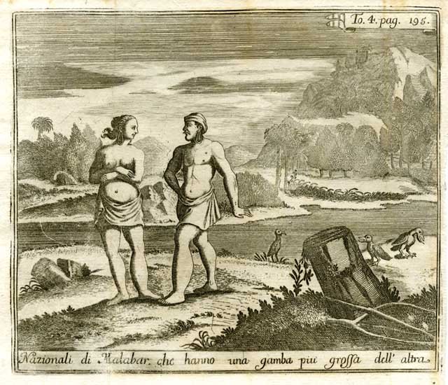 Nazionali di Malabar che hanno una gamba più grossa dell'altra | Immagine principale