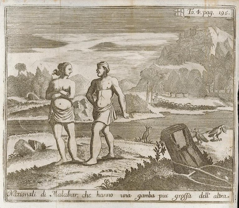 Nazionali di Malabar che hanno una gamba più grossa dell'altra | Immagine Gallery 2