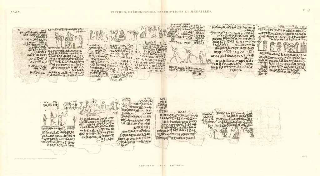 Papyrus, hiérogliphes, inscriptions et médailles - Manuscrit sur papyrus