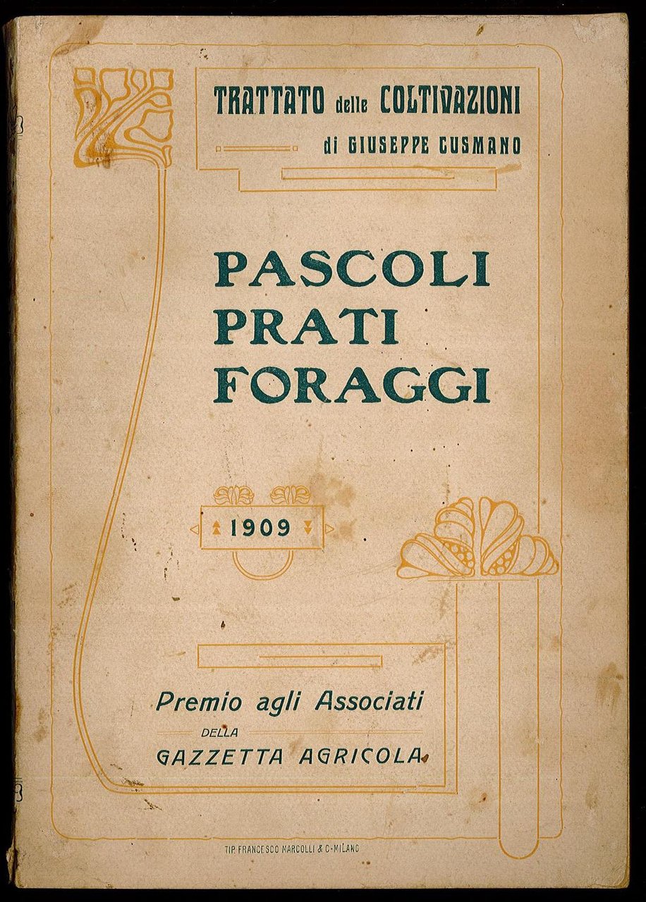 Pascoli Prati Foraggi