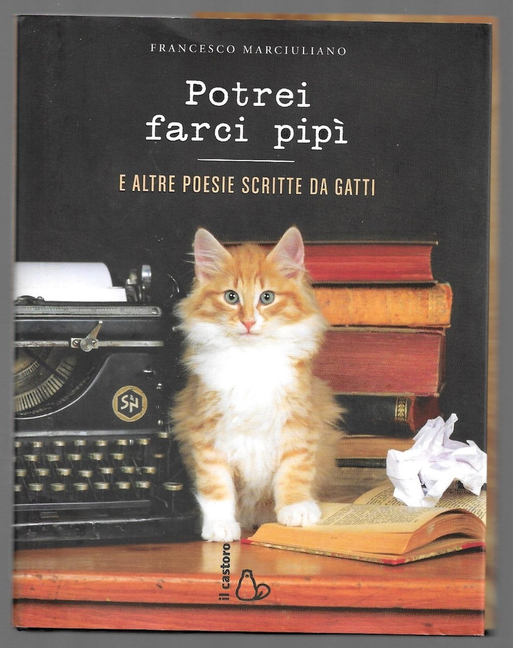 Potrei farci pipì – E altre poesie scritte da gatti