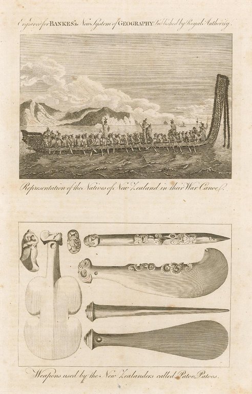 Representation of the natives of New Zealand in their war …