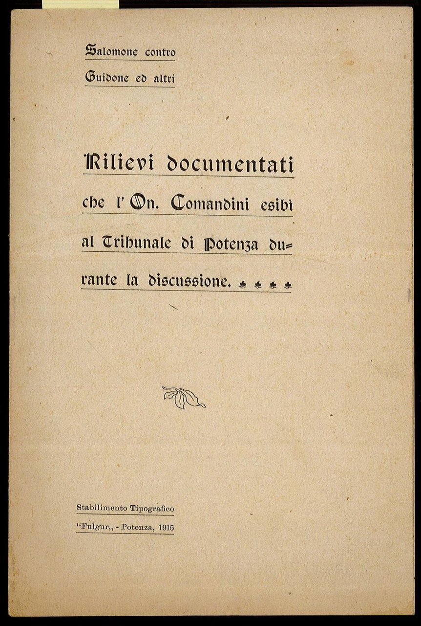 Rilievi documentati che l’On. Comandini esibì al Tribunale di Potenza …