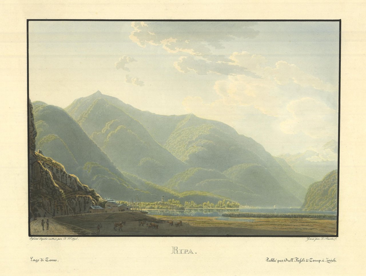 Ripa | Immagine principale