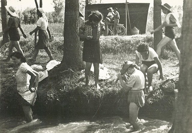 Riso Amaro (senza titolo)