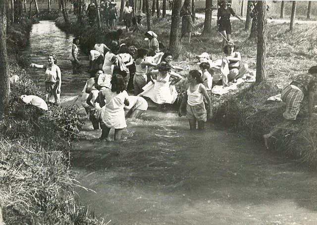 Riso Amaro (senza titolo)