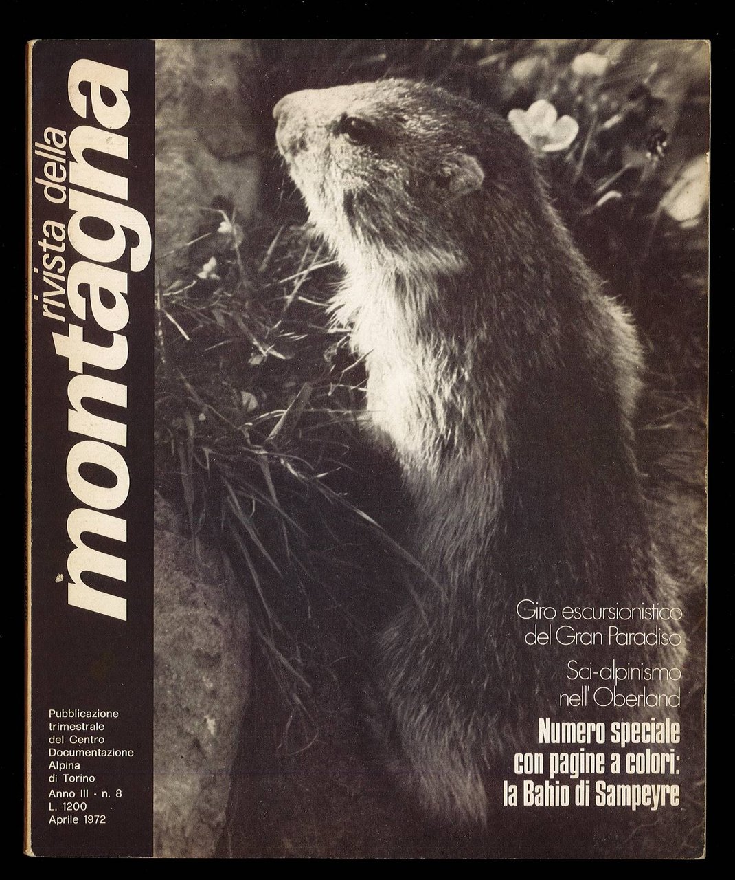 Rivista della Montagna. Anno III N. 8 | Immagine principale