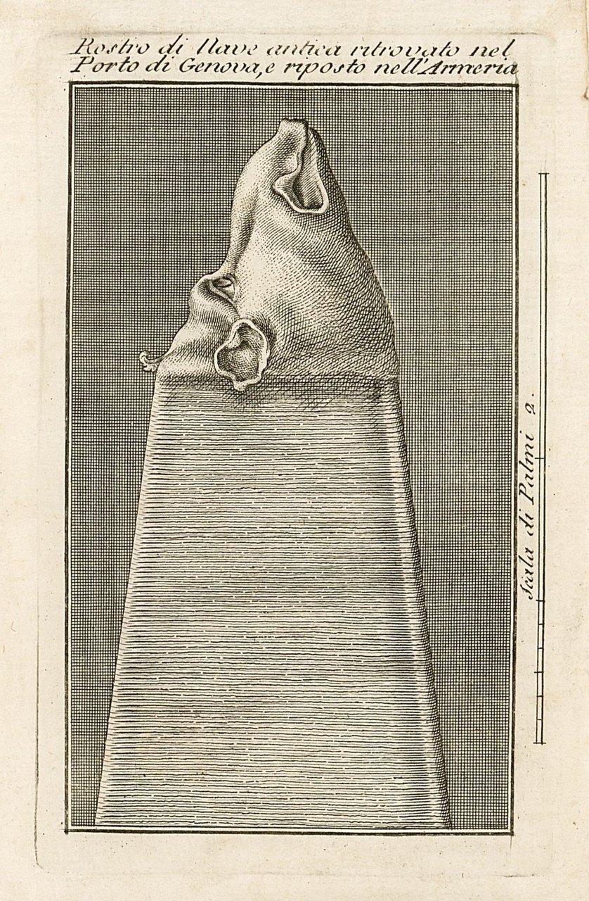 Rostro di nave antica ritrovato nel porto di Genova e …