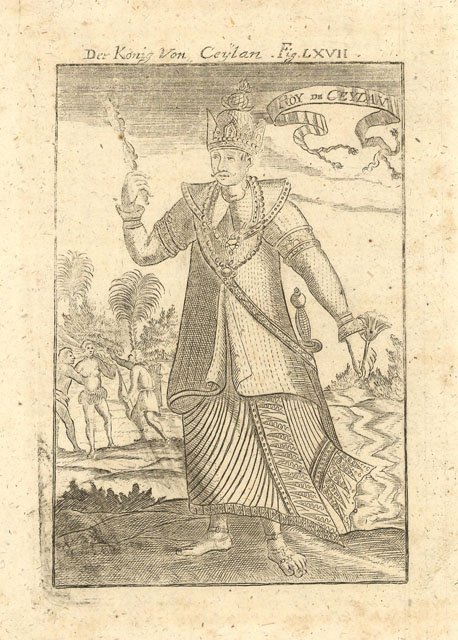 Roy de Ceylan | Immagine principale