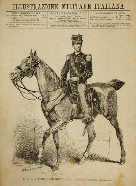 S.A.R. Vittorio Emanuele, Duca di Napoli, Principe Ereditario