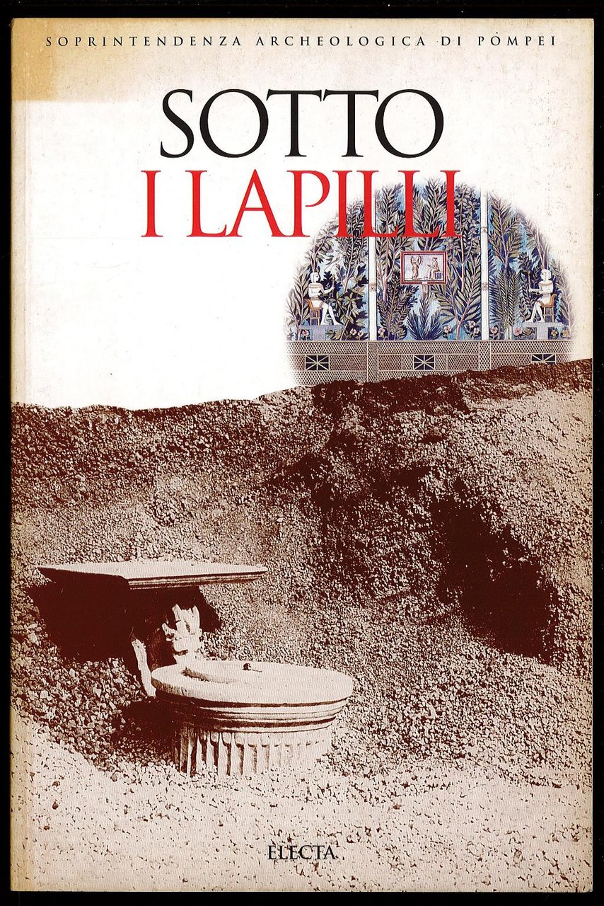 Sotto i lapilli. Studi nella Regio I di Pompei
