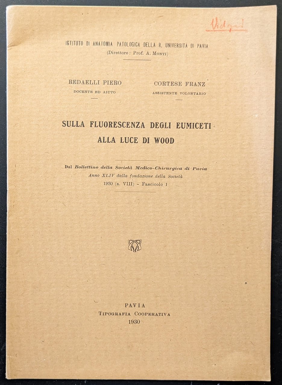 Sulla fluorescenza degli eumiceti alla luce di wood | Immagine principale