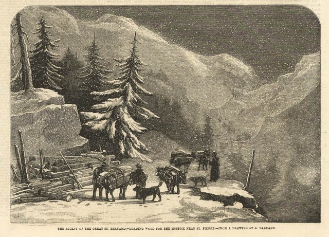 The ascent of the Great St: Bernard - Loading wood …