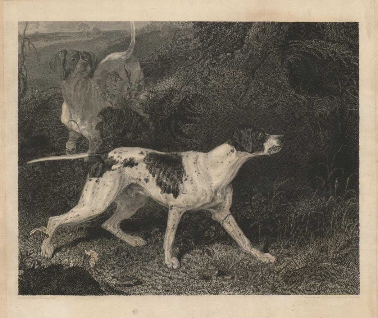 The Pointer (senza titolo avaanti lettera) | Immagine principale