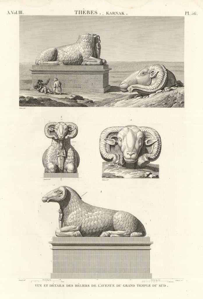 Thèbes. Karnak - Vue et deétails des Béliers de l'avenue …