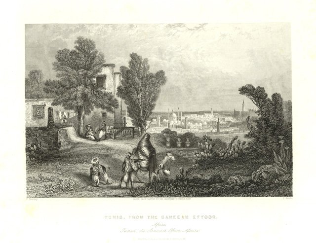 Tunis, from the Saneeah EftoorTunisi