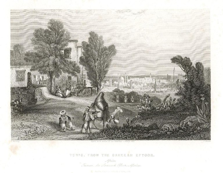 Tunis, from the Saneeah EftoorTunisi