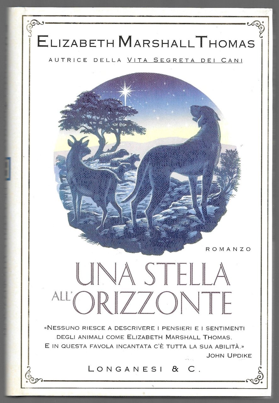 Una stella all’orizzonte